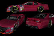 SnG Pinty's Mod Generic Dodge Charger Template