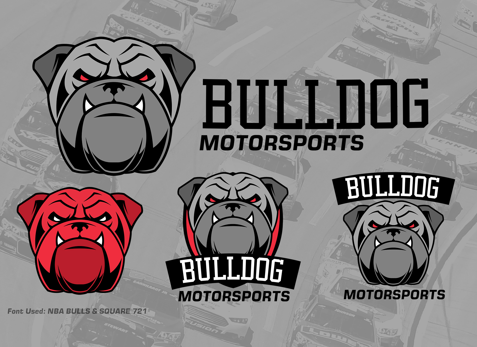 Bulldog_Motorsports-Logo.jpg