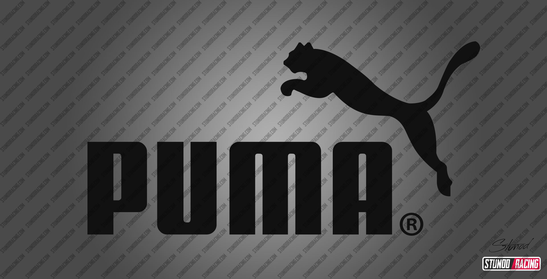 StunodRacing-Puma-Logo.jpg