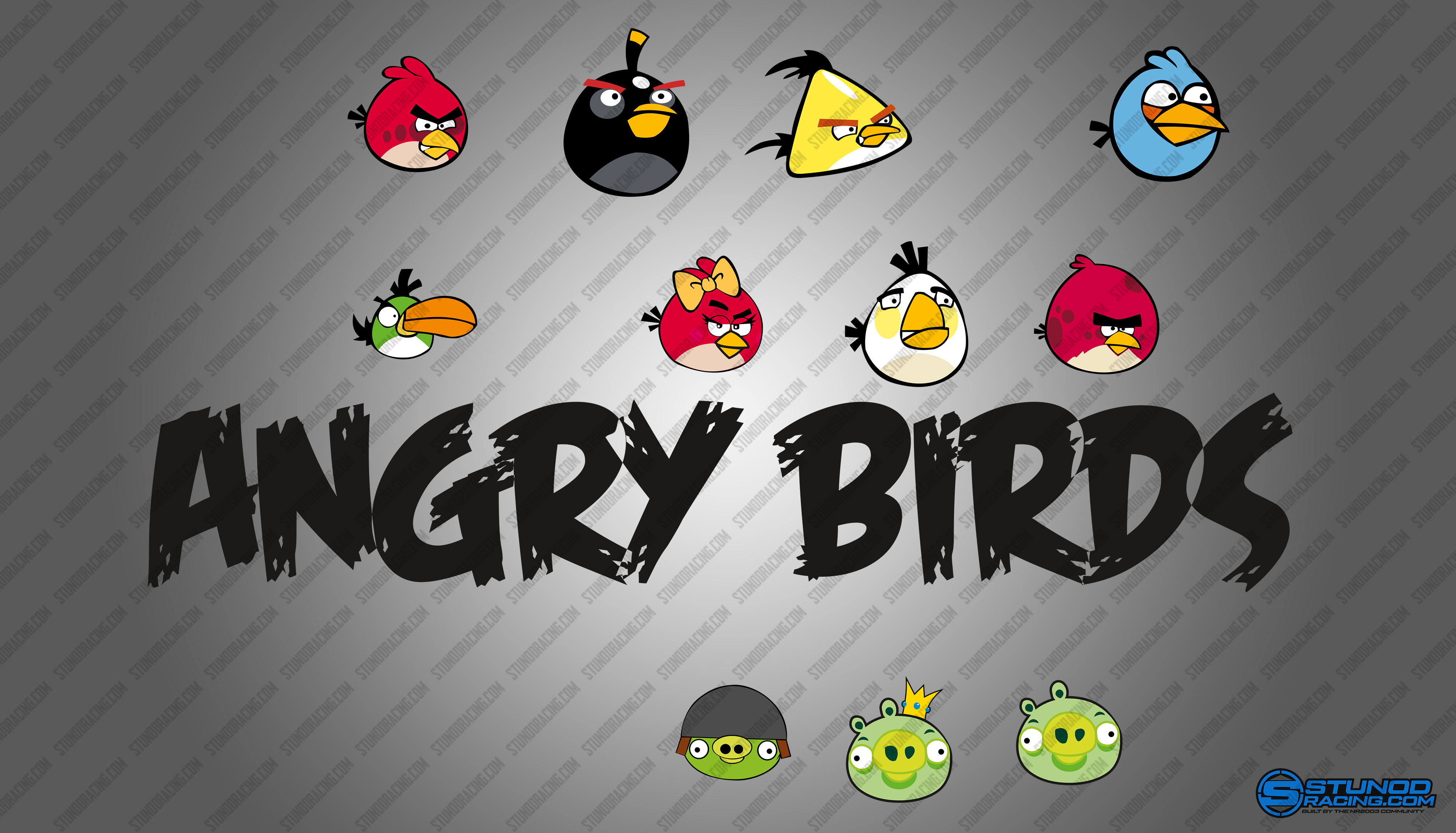 StunodRacing_AngryBirds_Logo.jpg