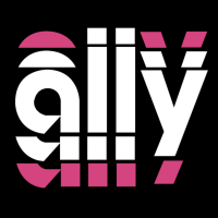 Ally hood logo | Stunod Racing