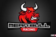 Mean Bull Racing Team Logo