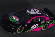 *FICTIONAL* Ross Chastain Melonman Brand 42