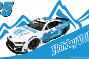 (Fictional) Holiday Valley #25 Ford Mustang