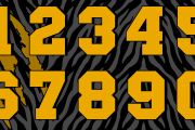 NY Racing (2022) #44 Number Set
