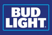 Kevin Harvick fictional Bud Light paint scheme
