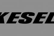 Brad Keselowski's Team Penske NameRail