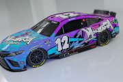 Fictional - Montana Cans Spray Paint Toyota Camry (NCS22)