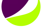 "Bipse" Logo