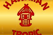 Vintage Hawaiian Tropic Logo