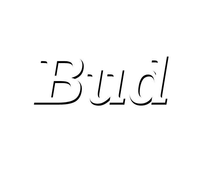 Bud King of Beers.png