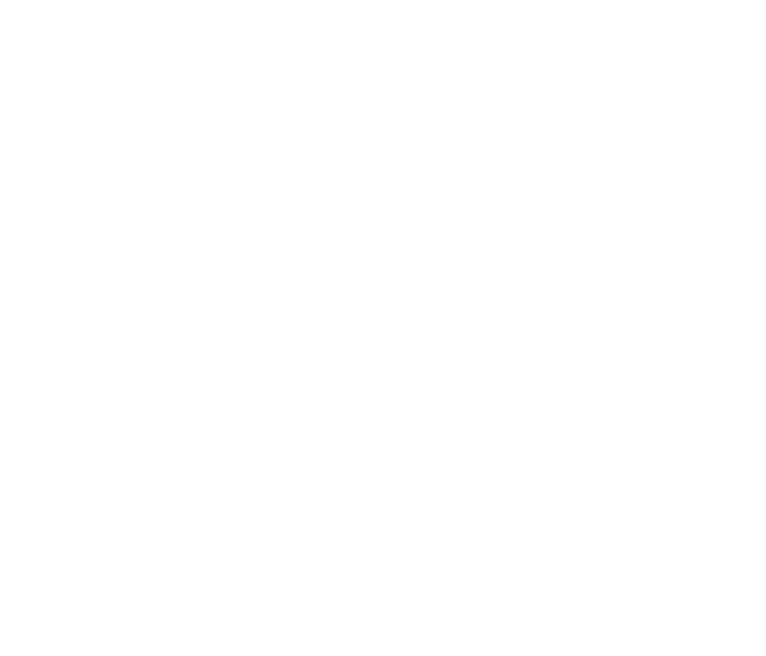 Bud Official Beer.png