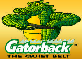 gatorback gator.jpg