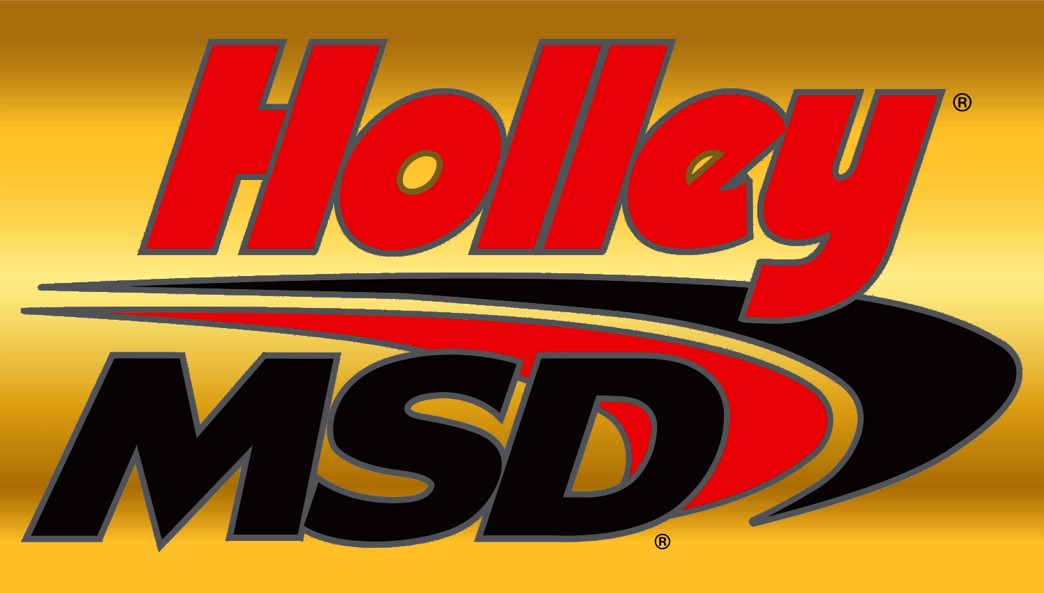 Holley MSD New logo.png