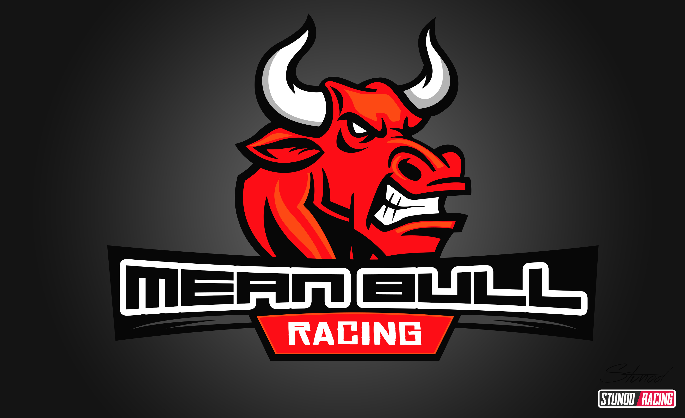 Mean-Bull-Racing_Logo.jpg